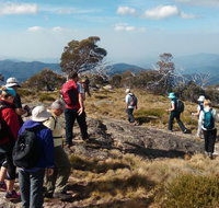 Hedonistic Hiking - Surfers Gold Coast