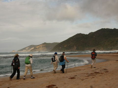 Hedonistic Hiking - Surfers Gold Coast 2