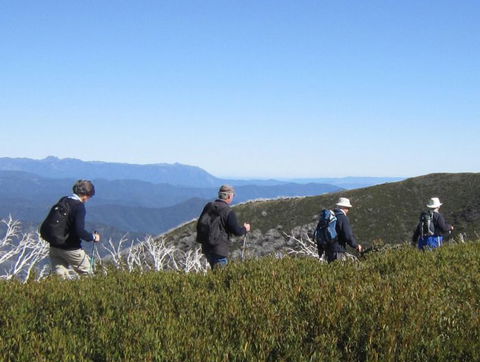 Hedonistic Hiking - Surfers Gold Coast 4
