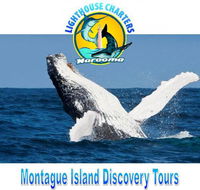 Lighthouse Charters Narooma - Surfers Gold Coast
