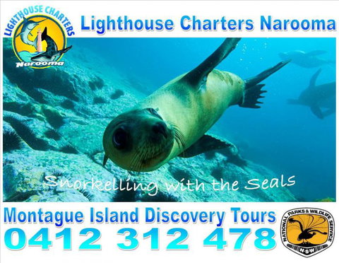 Lighthouse Charters Narooma - Surfers Gold Coast 14
