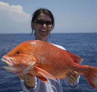 Absolute Ocean Charters - Surfers Gold Coast