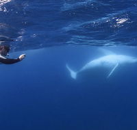 Sunreef Mooloolaba - Surfers Gold Coast