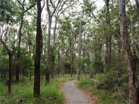 Caboolture Regional Environment Education Centre - Walking Trails - Surfers Gold Coast 0