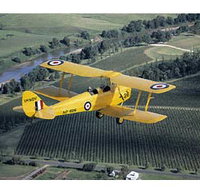 Royal Newcastle Aero Club - Surfers Gold Coast