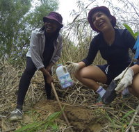Small World Journeys - Surfers Gold Coast