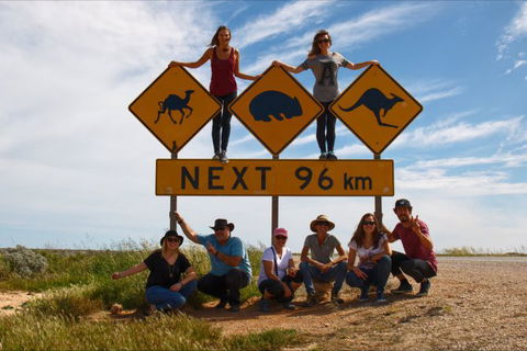 Nullarbor Traveller - Surfers Gold Coast 35
