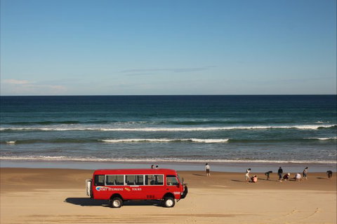 Port Stephens 4WD Tours - Surfers Gold Coast 8