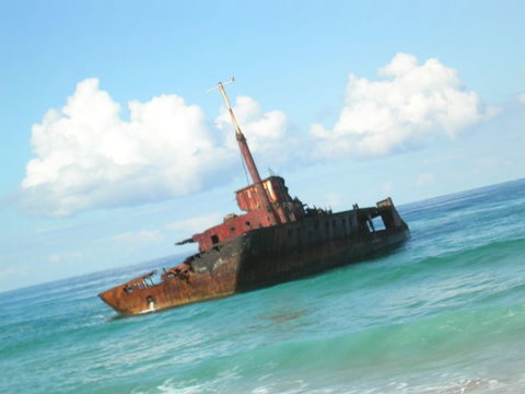 Port Stephens 4WD Tours - Surfers Gold Coast 10