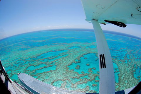 Air Whitsunday Seaplanes - Surfers Gold Coast 3