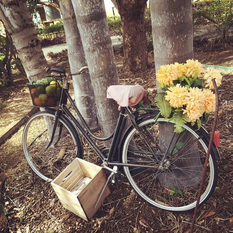 Childers Wine Trail - Surfers Gold Coast 12