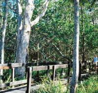 Kinaba Track - Surfers Gold Coast