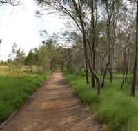 Billai dhagun Circuit Place of She-Oaks - Surfers Gold Coast