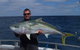 Reef Encounters Fishing Charters. - thumb 13