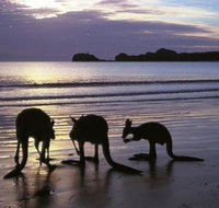 Beachcomber Cove Track - Surfers Gold Coast