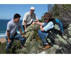 Sapphire Coast Ecotours - Surfers Gold Coast 1