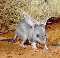 Stars Parks and Legends Drive - Surfers Gold Coast