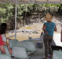 Whitsunday Crocodile Safari - Surfers Gold Coast