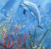 Nadas Fine Art Gallery - Surfers Gold Coast