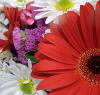 Marysworldart Bali Imports - Surfers Gold Coast