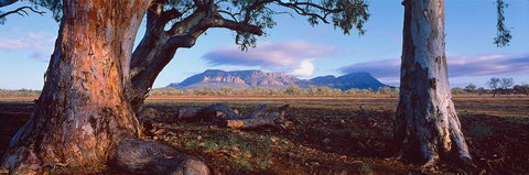 Nissarana Galleries Noosa - Surfers Gold Coast 1