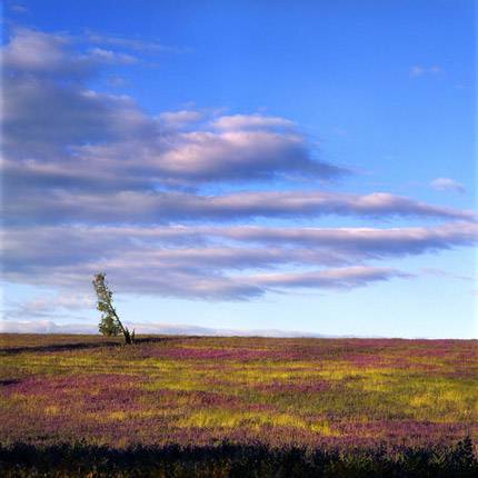 Nissarana Galleries Noosa - Surfers Gold Coast 2