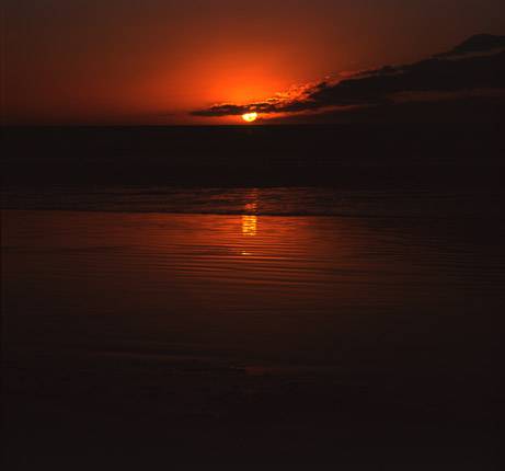 Nissarana Galleries Noosa - Surfers Gold Coast 3