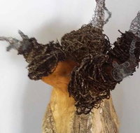 Caldera Wildscapes Gallery - Surfers Gold Coast