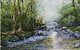 Caldera Wildscapes Gallery - thumb 2