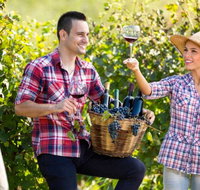 Two Tails Wines - Surfers Gold Coast