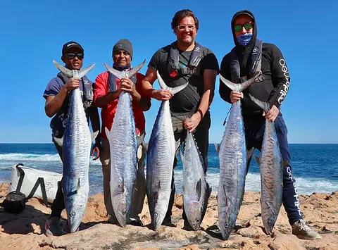 Perth Fishing Safaris - Surfers Gold Coast 1