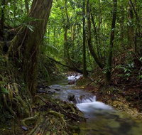 Trek North - Surfers Gold Coast