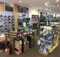 Lone Dingo - Surfers Gold Coast