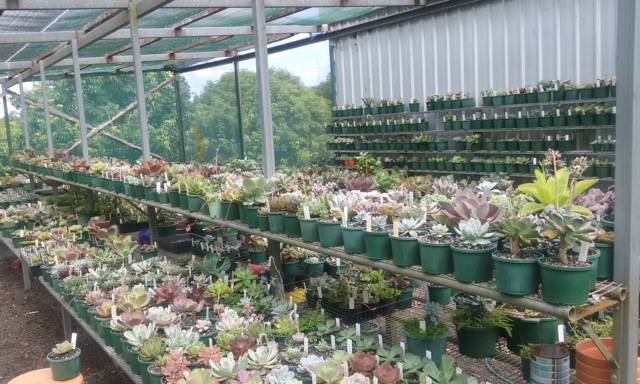 Wollongbar NSW Surfers Gold Coast