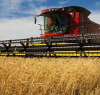 Quirindi Grain and produce - Surfers Gold Coast