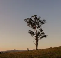 Faulls Ridge Winery - Surfers Gold Coast