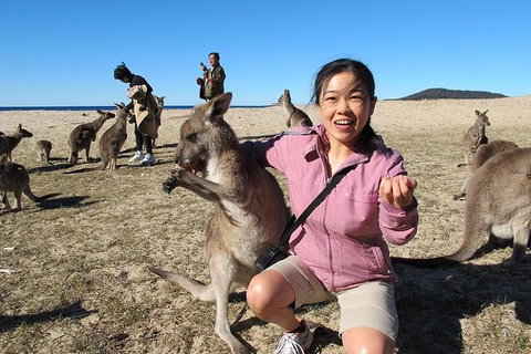 Batemans Bay Full-Day Tour From Canberra Including Indigenous Experience - Surfers Gold Coast 0