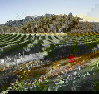 Margaret River Caves Wine and Cape Leeuwin Lighthouse Tour from Perth - Surfers Gold Coast