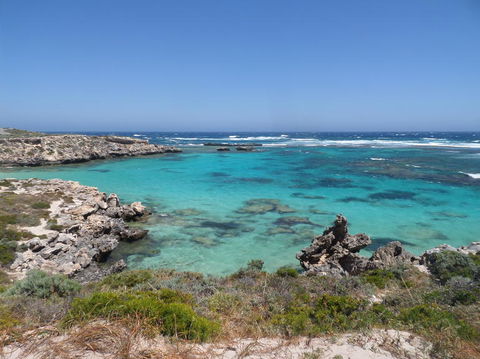 Rottnest Island Tour From Perth Or Fremantle Including Adventure Speed Boat Ride - Surfers Gold Coast 3