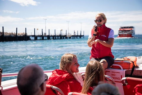 Rottnest Island Tour From Perth Or Fremantle Including Adventure Speed Boat Ride - Surfers Gold Coast 0