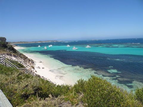 Rottnest Island Tour From Perth Or Fremantle Including Adventure Speed Boat Ride - Surfers Gold Coast 2