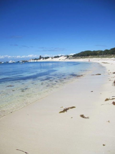 Rottnest Island Tour From Perth Or Fremantle Including Adventure Speed Boat Ride - Surfers Gold Coast 4