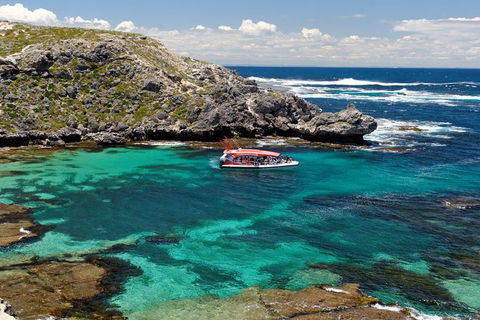 Rottnest Island Tour From Perth Or Fremantle Including Adventure Speed Boat Ride - Surfers Gold Coast 10