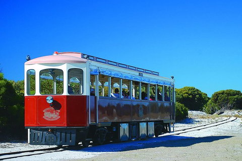 Rottnest Island Grand Tour Including Lunch And Historical Train Ride - Surfers Gold Coast 1