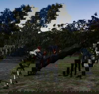 Stargazing Busselton with Mobile Observatory - Surfers Gold Coast