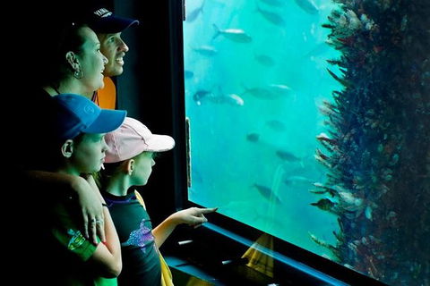 2-hour Busselton Jetty Package: Jetty Train And Underwater Observatory - Surfers Gold Coast 1