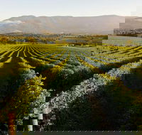 Half-Day Swan Valley Walk  Fruit Orchard - Surfers Gold Coast