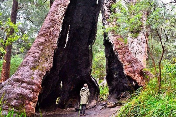 Day Spas Glebe NSW Surfers Gold Coast