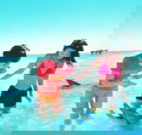 Monkey Mia Dolphins  Shark Bay Air Tour From Perth - Surfers Gold Coast