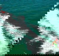 Geraldton Tubing Experience - Surfers Gold Coast